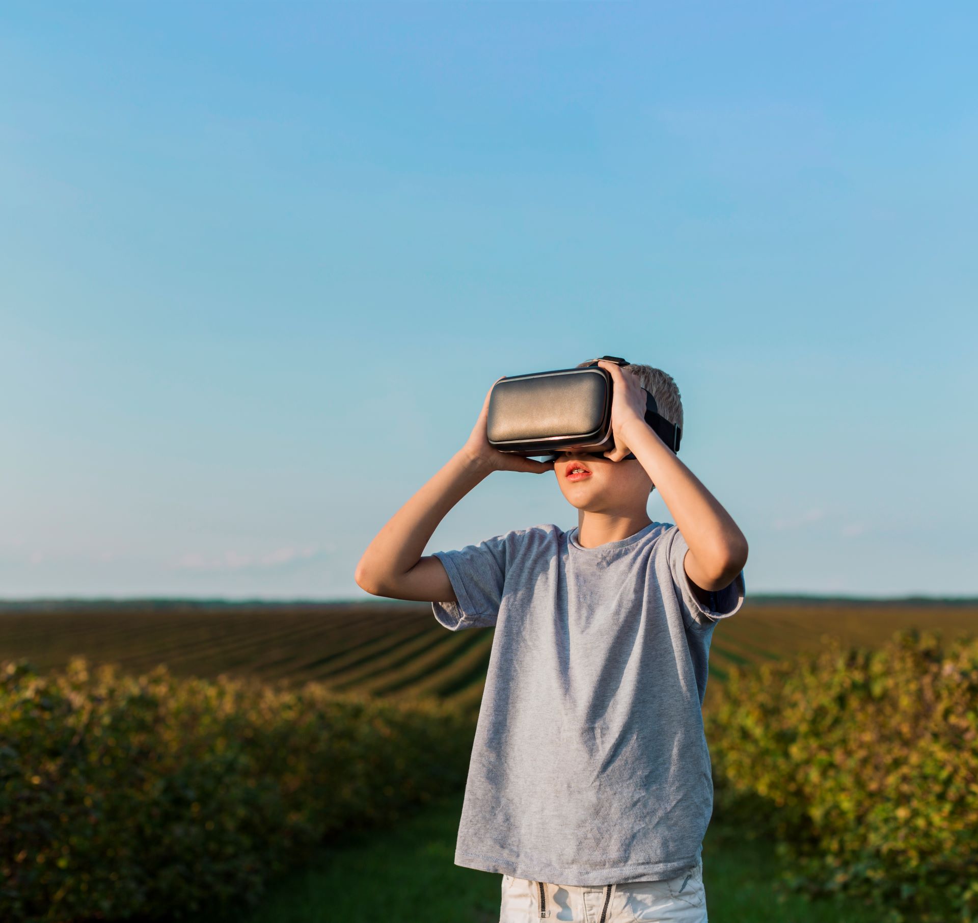 Immersive Vr Driving Environmental Awareness